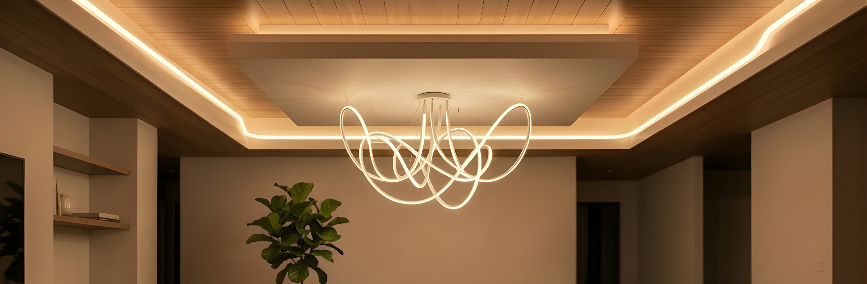 Neon Flex & LED Strip